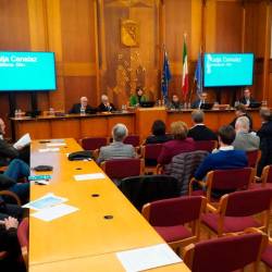 Posvetu društva DM+ v Gorici (MAREGA/TIBALDI)