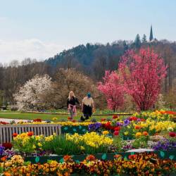 Arboretum Volčji potok (ARBORETUM)
