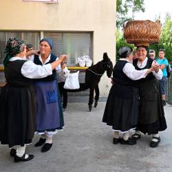 Šavrinke osličem v ozadju (FOTODAMJ@N)