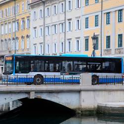 Prvega maja bo veljal praznični vozni red avtobusov, ki bo sicer še dodatno okrnjen (ARHIV)