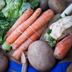 Po zadnjih podatkih evropskega statističnega urada Eurostat je bilo leta 2023 v članicah EU zavržene povprečno 129 kg hrane na prebivalca