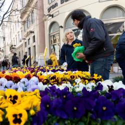 Sejem Trieste in fiore (ARHIV)