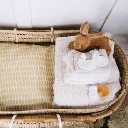 Rodnost pada tudi zaradi naraščanja revščine