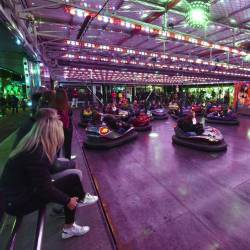 Električni avtomobilčki so ena izmed stalnic proseškega martinovanja (FOTODAMJ@N)