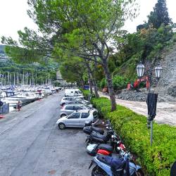 Okoljevarstveniki se zoperstavljalo sečnji borov v Grljanu