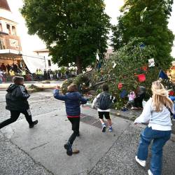 V krošnjo so skočili najmlajši (FOTODAMJ@N)