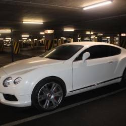 Ukradnei bentley (PU KOPER)