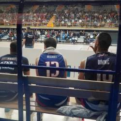 Jadran je prejšnji teden v Gorici premagal Dinamo (MAREGA/TIBALDI)