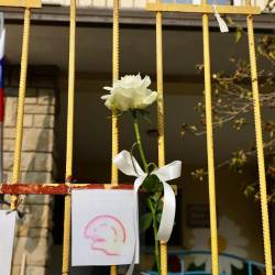 Bela vrtnica na vratih slovenske osnovne šole Albina Bubniča v Miljah, ki jo je obiskoval pokojni devetletnik