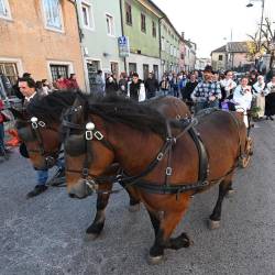 Tradicionalna martinova furenga bo na sporedu v nedeljo ob 14.30