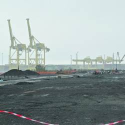 HHLA ureja s partnerji na 180 hektarjev veliki ploščadi podaljšek logistične platforme (FOTODAMJ@N)