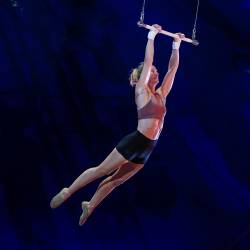 Med najbolj priljubljenimi predstavami je bila serija prireditev Alegria Cirque du Soleil (71.697 gledalcev)