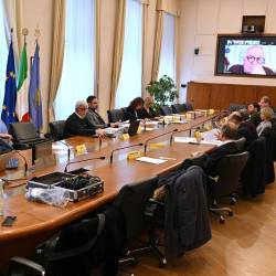 Zasedanje paritetnega odbora (FOTODAMJ@N)