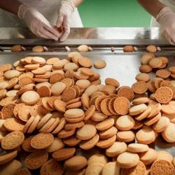 Podjetje Pintaudi je bilo nekoc specializirano za proizvodnjo prepečenca, piškotov in pekovskih izdelkov, proizvodnja pa se zdaj vse bolj širi (PINTAUDI)