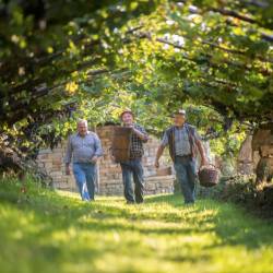 Register nesnovne kulturne dediščine je bogatejši za enoti agrarne skupnosti in vinogradništvo (PRIMORSKE NOVICE/JAKA IVANČIČ)
