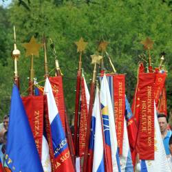 Drogovi praprorjev s peterokrako zvezdo (ARHIV)