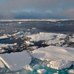 Arktični ocean brez ledu pomeni manj kot milijon kvadratnih kilometrov ledene površine (ANSA)