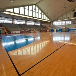 Telovadnica Palachiarbola (ARHIV)