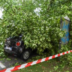 Škoda po neurju (TIBALDI)