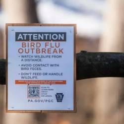 Opozorilna tabla pred okuženimi pticami (ANSA)