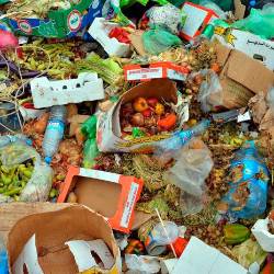 V Italiji je v letu 2025 povprečno v smeteh pristalo za 554 gramov hrane na prebivalca (ARHIV)