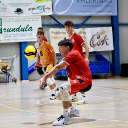 Igra v polju bo pomemben adut odbojkarjev SloVolleyja (TEDESCHI/FOTODAMJ@N)