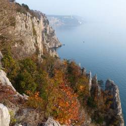 S predavanji nameravajo projektni partnerji predstaviti širši javnosti pomen biotske raznolikosti