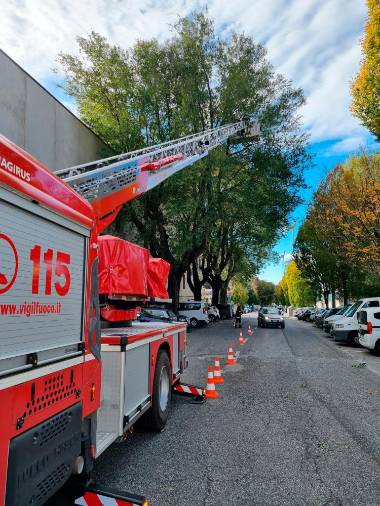 Gasilci so zaradi burje posredovali v Drevoredu Sanzio (FOTODAMJ@N)