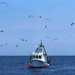 Slovenski ribiči zaradi nove izključne ekonomske cone ne opažajo težav (ZDRAVKO PRIMOŽIČ/FPA/PRIMORSKE NOVICE)