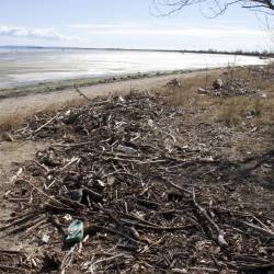 Obala med Marino Julio in Štarancanom (ARHIV)