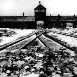 Koncentracijsko taborišče Auschwitz (KROŽEK CHARLIE CHAPLIN)