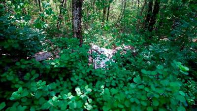 Fotografija je simbolična (ARHIV)