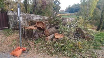 Posledice (upravičenega) topolomora pri kontovelski mlaki
