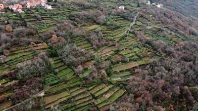 Kontovelski breg (FOTODAMJ@N)