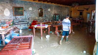 V Verso se vrača življenje