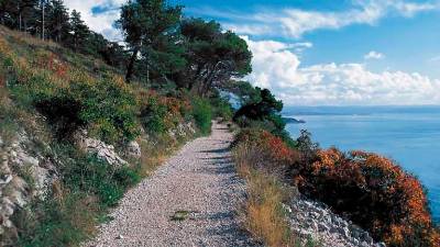 Pot Za Vodico (PROMOTURISMOFVG)