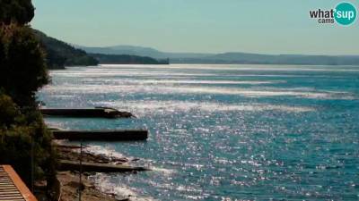 Pogled iz Brojnice proti Trstu danes ob 11.15 (SPLETNA KAMERA WHATS’UP CAMS)