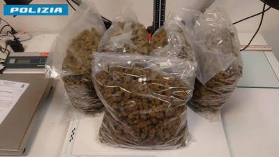 Zaseženo mamilo (POLICIJA)