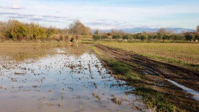 Eno od poplavljenih polj pri Versi (TIBALDI)