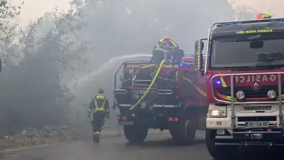 Arhivski posnetek gašenja požarov na Krasu