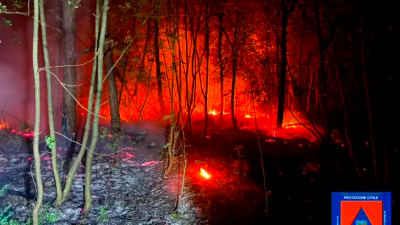Požar med Tržičem in Štivanom pogasili
