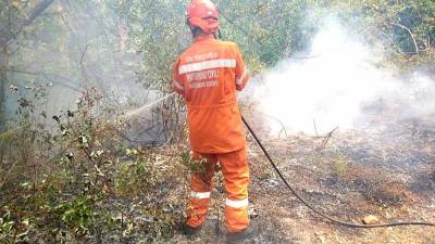 Med Praprotnim in Čedadom je med gašenjem požara umrla prostovoljka civilne zaščite (fotografija je simbolična)