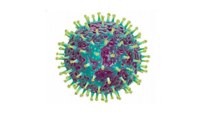 Virus gripe tipa A-H3N2 (ALCHETRON)