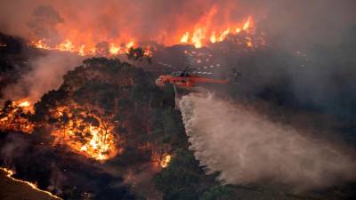 Doslej je v Avstraliji pogorelo več kot 5,5 milijona hektarjev površin (ANSA)