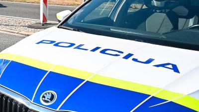 Po ugotovitvah kriminalistov in policistov obstaja sum, da so bili požari podtaknjeni (ARHIV)