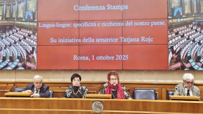 Udeleženci so se strinjali, da so nove ministrske smernice močno pomanjkljive, kar ogroža tradicionalno italijansko večjezičnost