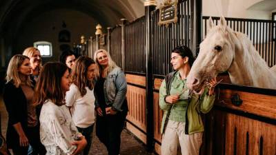 Obisk v Kobilarni Lipica (KOBILARNA LIPICA)