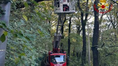 Gasilci na delu v Ulici Olmi (GASILCI)