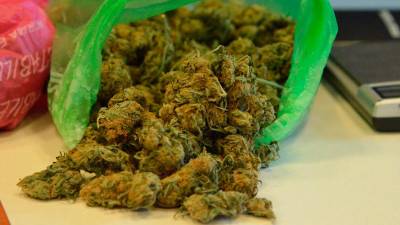 Marihuana, fotografija je simbolična (ARHIV)