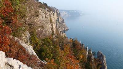 S predavanji nameravajo projektni partnerji predstaviti širši javnosti pomen biotske raznolikosti